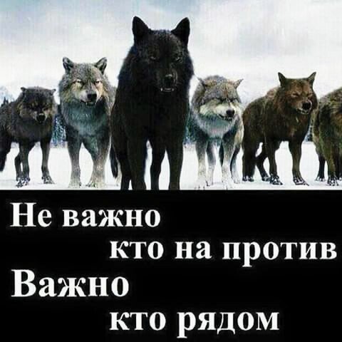 статус 405337