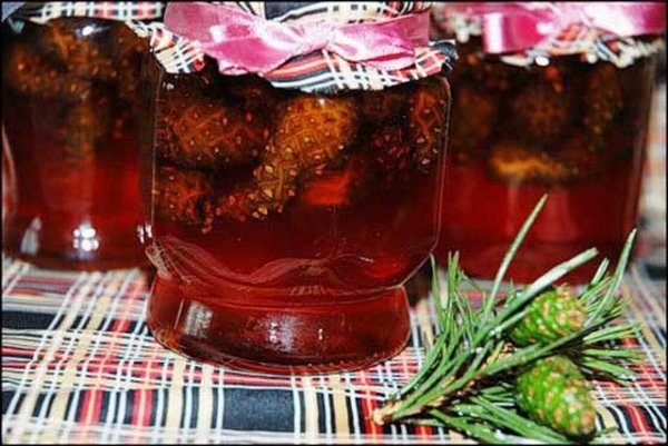 варенье сосновое