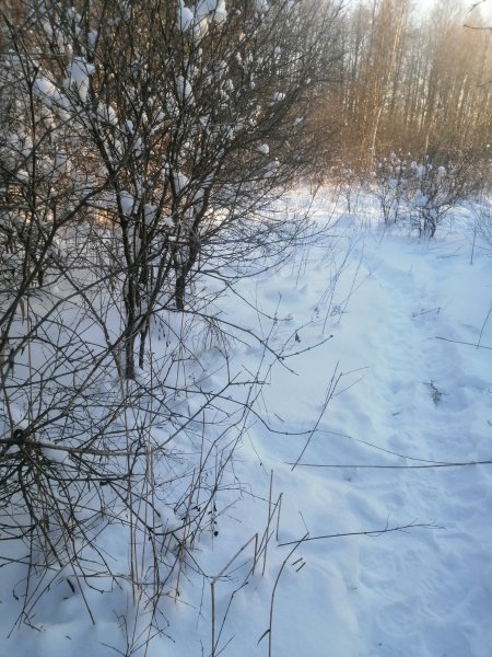 Рыбалка
