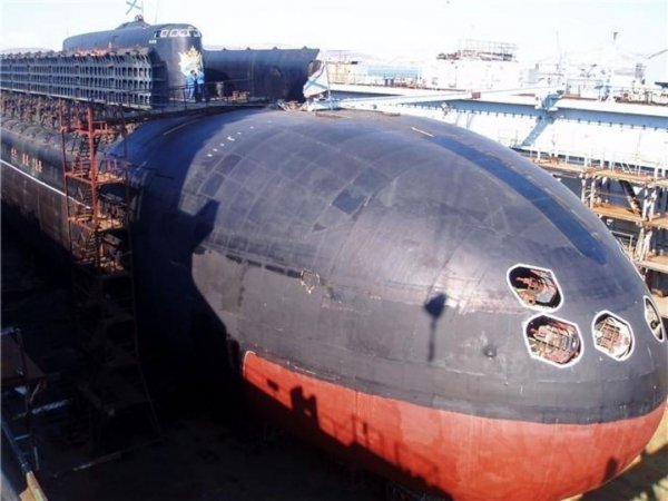 barakudasssssss CPkboEthOg8