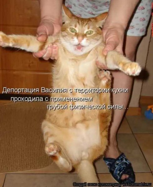 Упс!