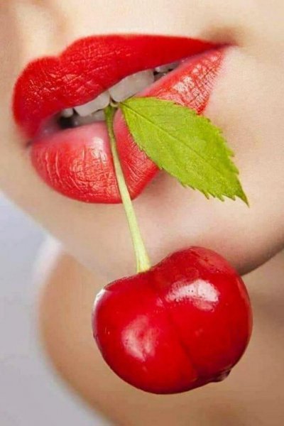 47d5f8505009cbdb382ee4d3b6ff73dc