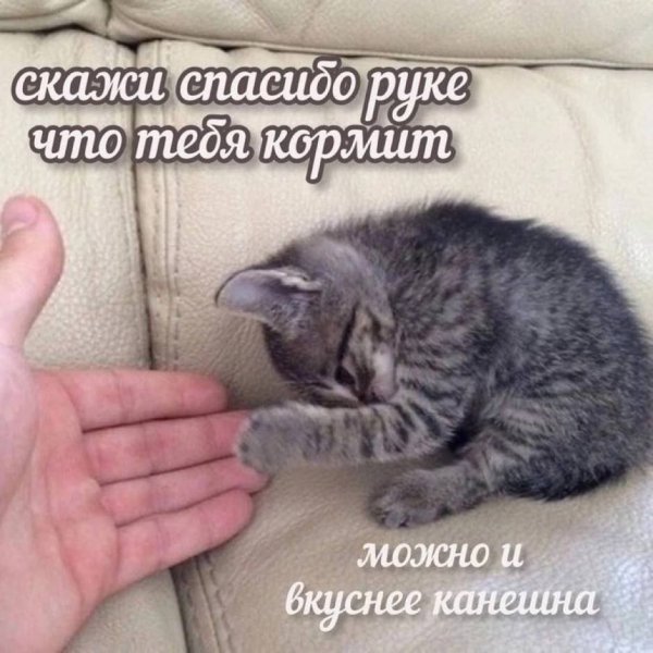 picture_413469740