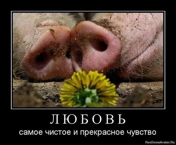 IMG 20260211 110629 764