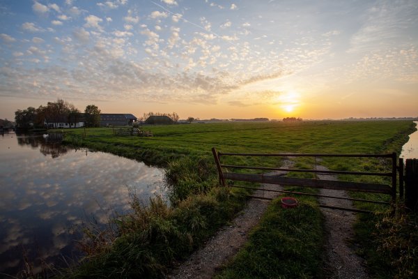 Beautiful-scenery-dutch-polder-landscape-sunset