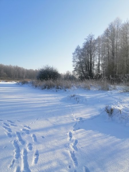 Рыбалка