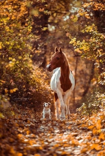picture_326606926