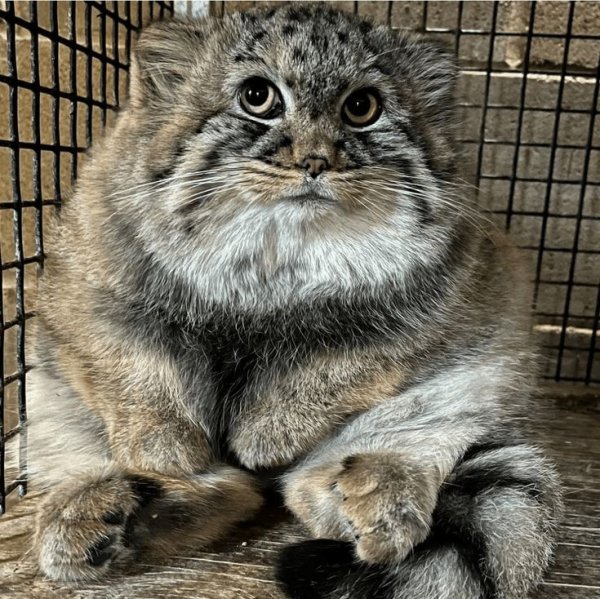 C79f8b6e5066ab61e4c0122b1633b1a5