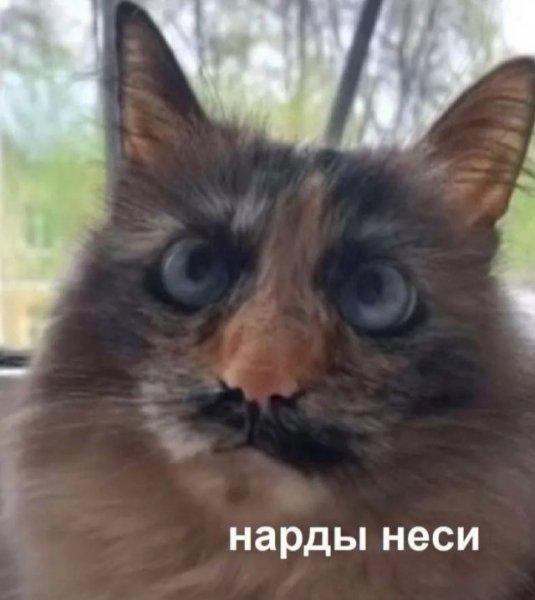 f5bf186 20180617