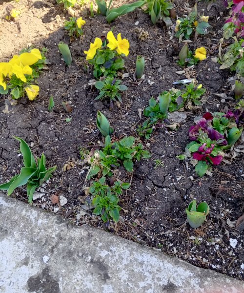 Анапа. Вот и наступила весна