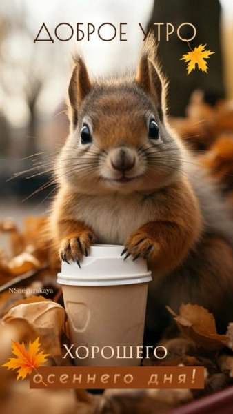 67f133ddb85a140945d4d30851656d50