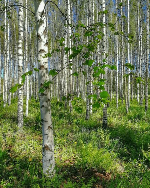 IMG 20200208 152033