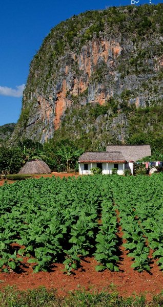 Screenshot 20250321-124501 One UI Home