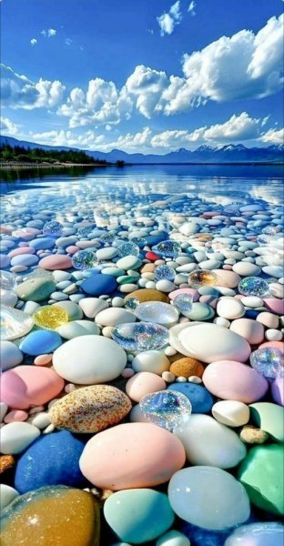 Арт Коллекция