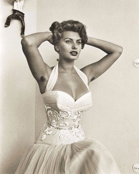 Софи Лорен 1955 год