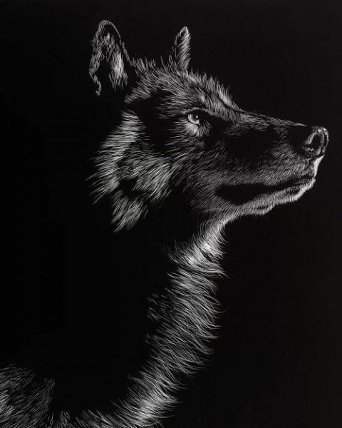 13-13-08-220425008 344526577130716 6426424213165451790 n