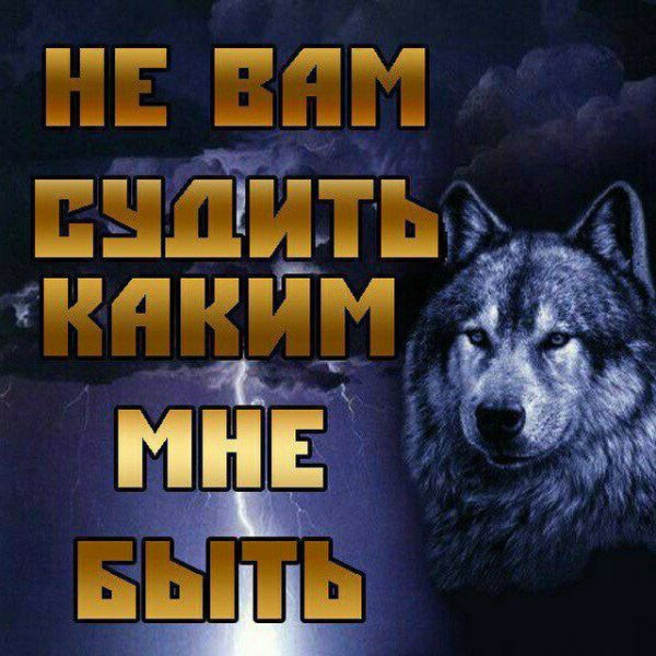 IMG 20211114 064632 561