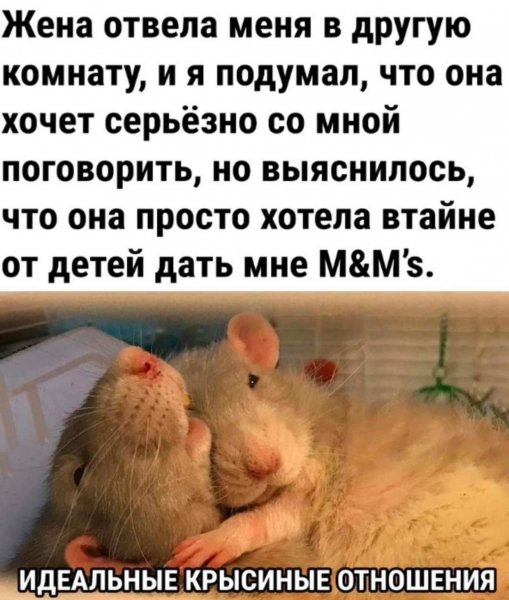 C54e74b4cbe303b93ea1089365e1b1f2