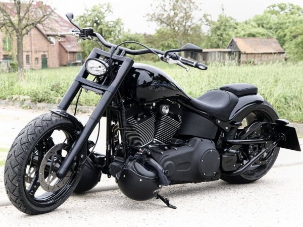 harley devitson chopper 24