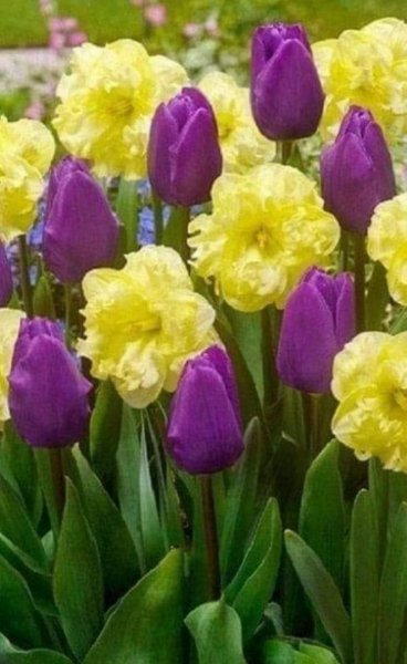 FB IMG 1612754674052