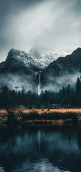 Арт Природа