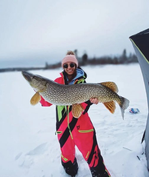 Крупная щука (Northern pike)