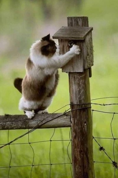 14-14-27-235694665 838611343459485 7048541410635219170 n