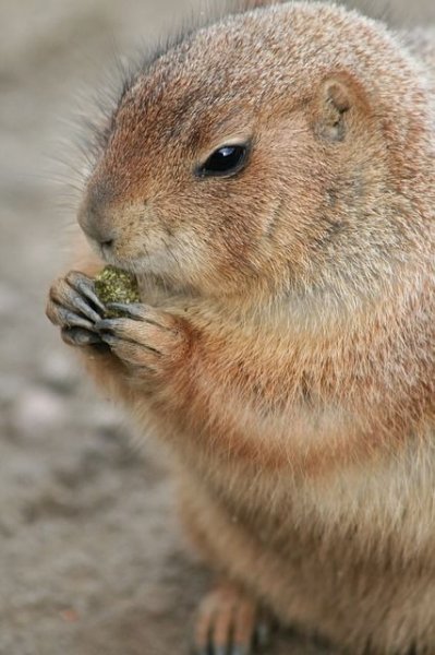 14c47f7af2a63c201a74448f0de9b4b7