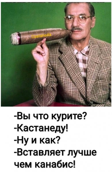 Курит Кастанеду