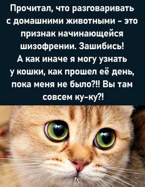 А???!!!!