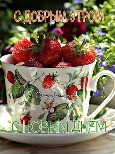 IMG-20210616-WA0000