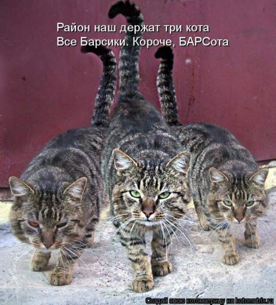 Короче...