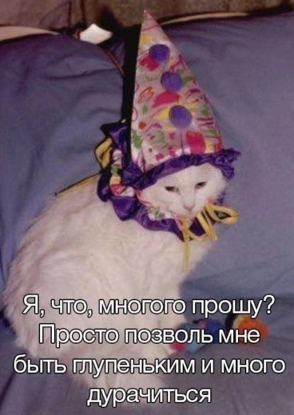 picture_412681326