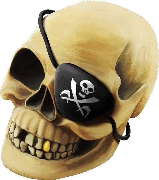 20 piracy skull skeleton pirate skull