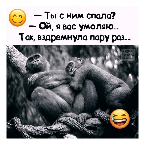 DTEL6ISLDLx a6zvDEdngO -sn3JGbExramxVEt8KUsC5zdb