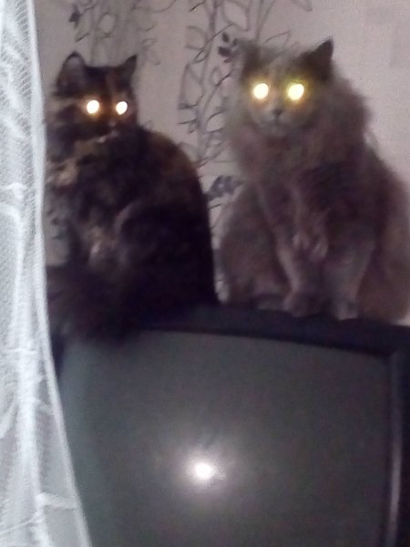 IMG 20190117 111301