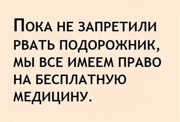 IMG 20260328 113757 037