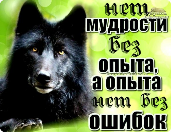 IMG 20200614 173018