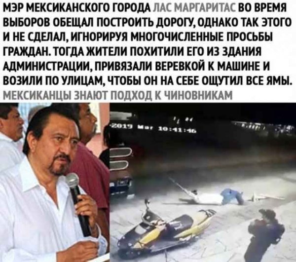 smeshnye-kartinki-dlja-nastroenija-18