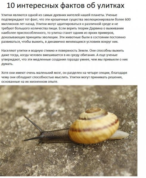 Это интересно