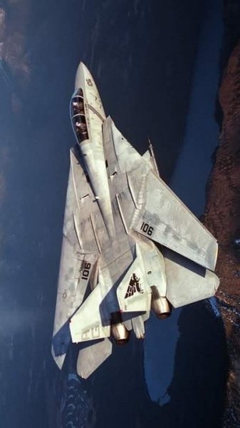 F-14 Tomcat
