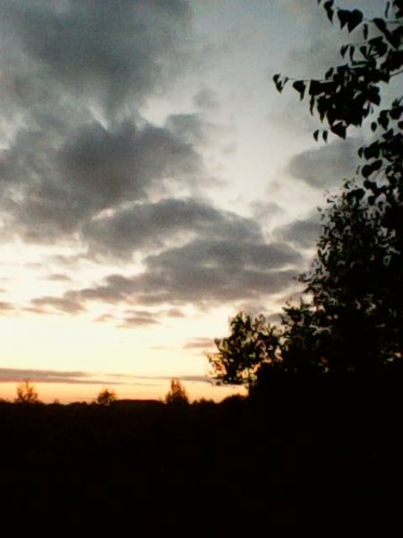 Фото Лесника