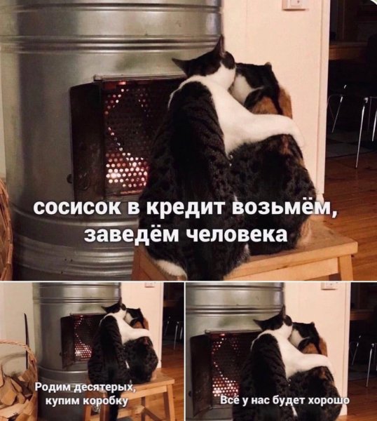 54mpcdDtJRc
