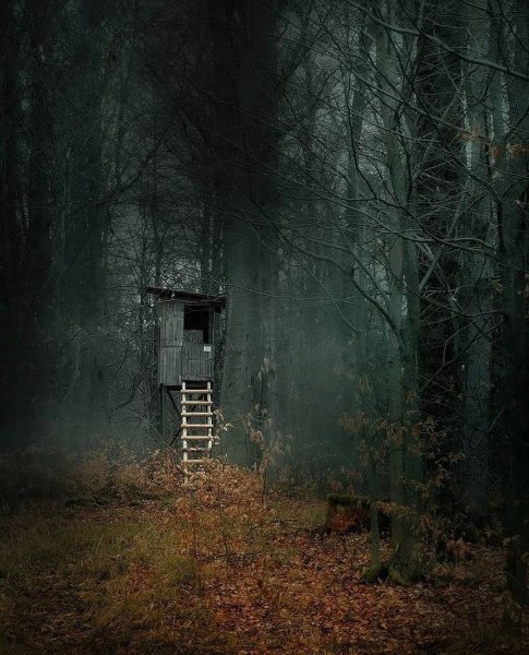 18-58-26-178400763 390796928590164 1009147121912231292 n