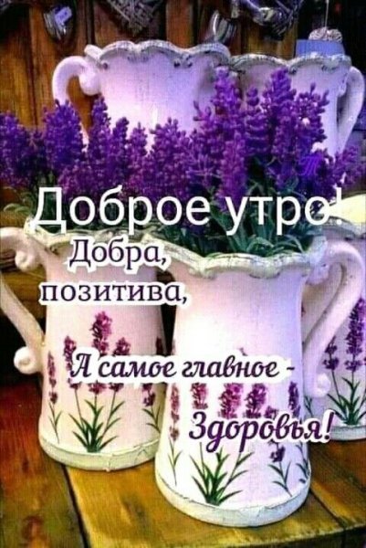 0f2bfbabe971357b6637da42d6933273