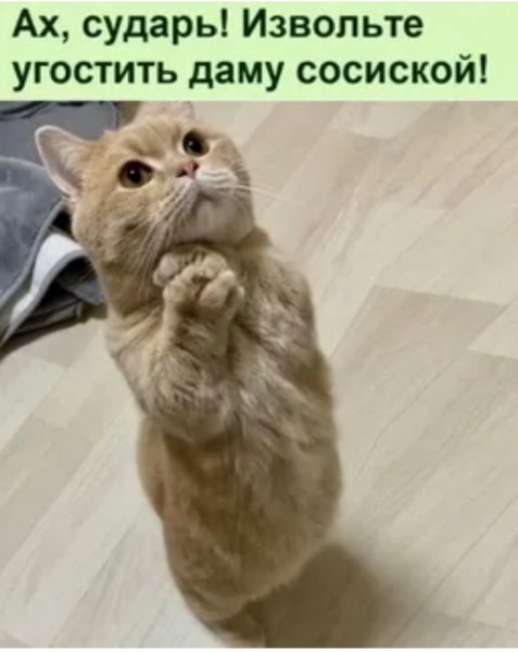 Да! ))