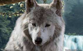 images (9)