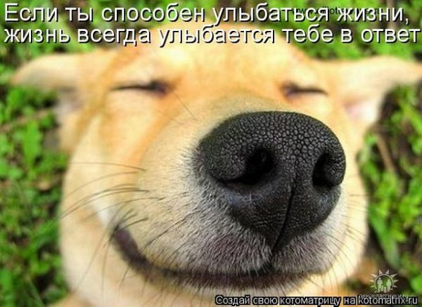 Улыбайся