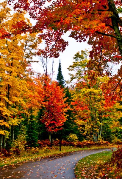 золотая осень