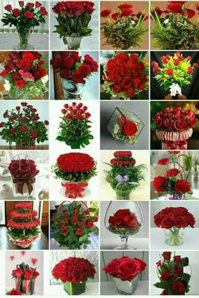 FB IMG 15144939987218409